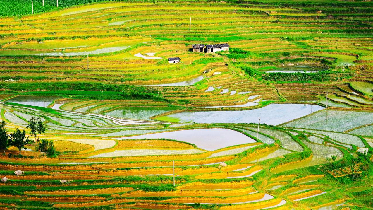 clash自动选择_clash自动选择规则 - clash相关 - 55dz账号网