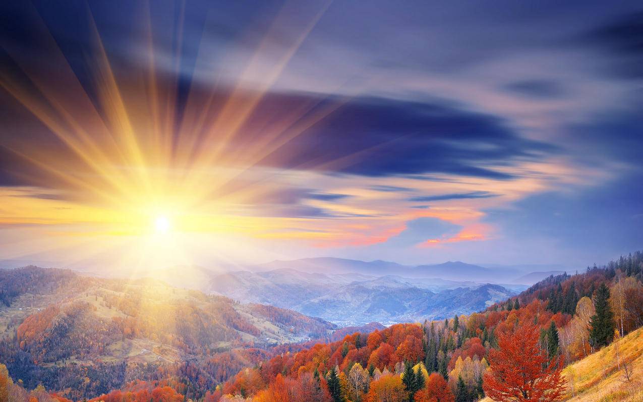 越南苹果id怎么从另一个设备退出 - 各区苹果ID - 55dz账号网