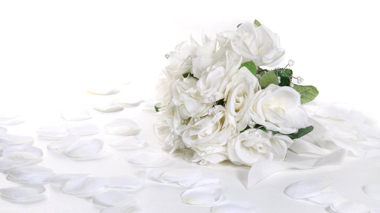 苹果13更新越南apple id设置如何取消（苹果13更新Apple ID设置） - 各区苹果ID - 55dz账号网