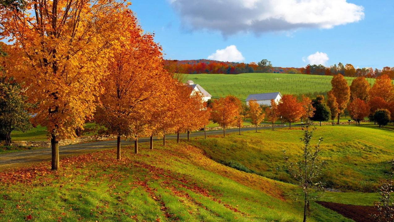 台湾苹果id受限制怎么退出_台湾苹果ID怎么退出 - 台湾苹果ID - 55dz账号网