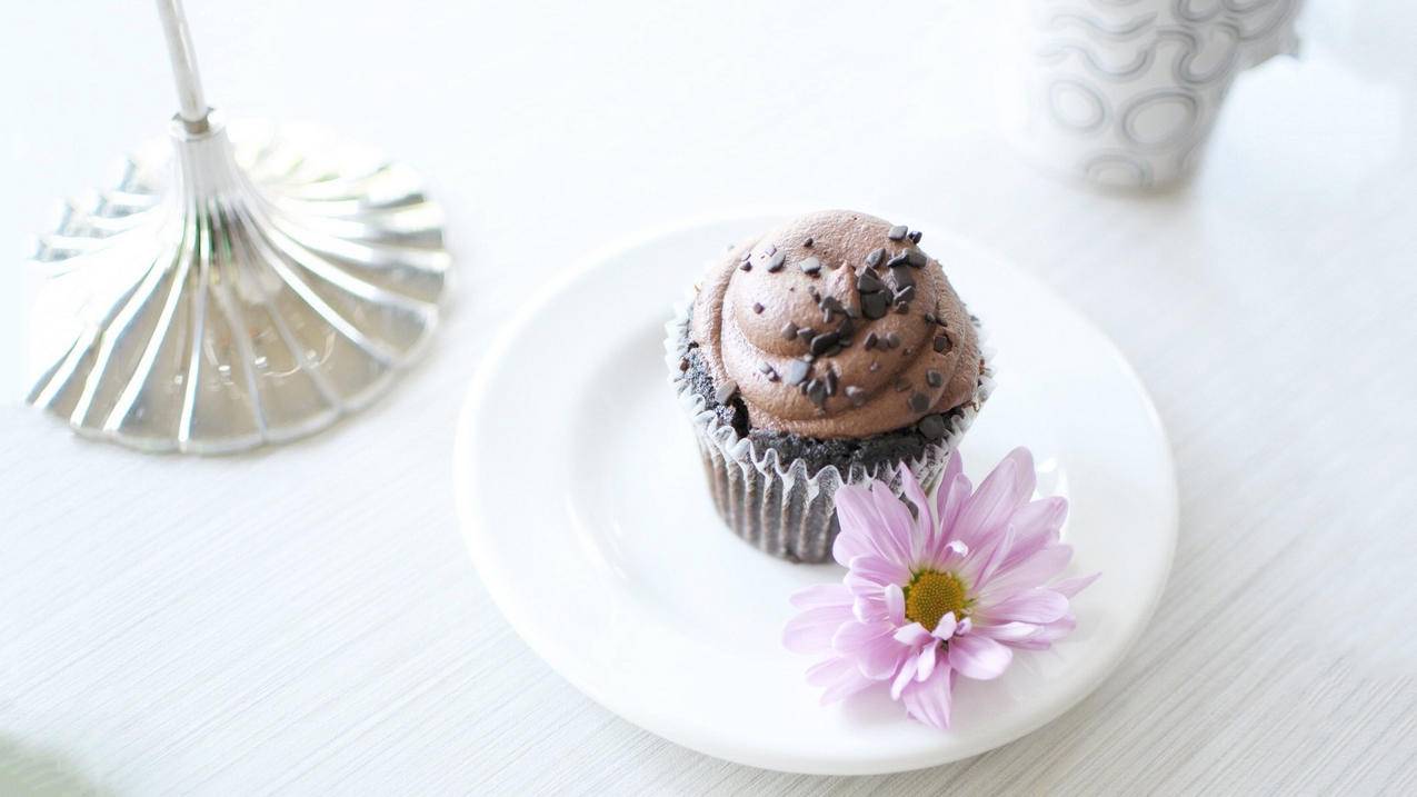 163邮箱添加附件可以发文件夹吗_163邮箱怎么附加文件夹 - gmail相关 - 55dz账号网