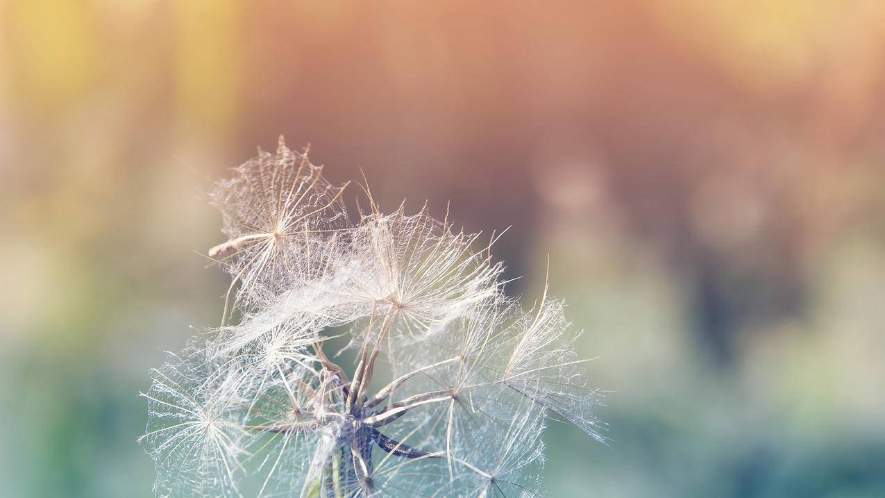 油管上传视频不动_油管上传不了视频 - youtube相关 - 55dz账号网