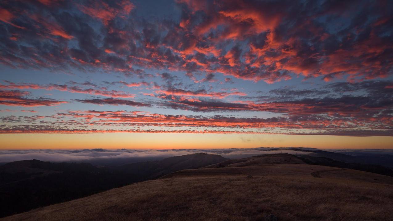 千川投放数据如何导出？ - ks自助下单 - ks业务下单