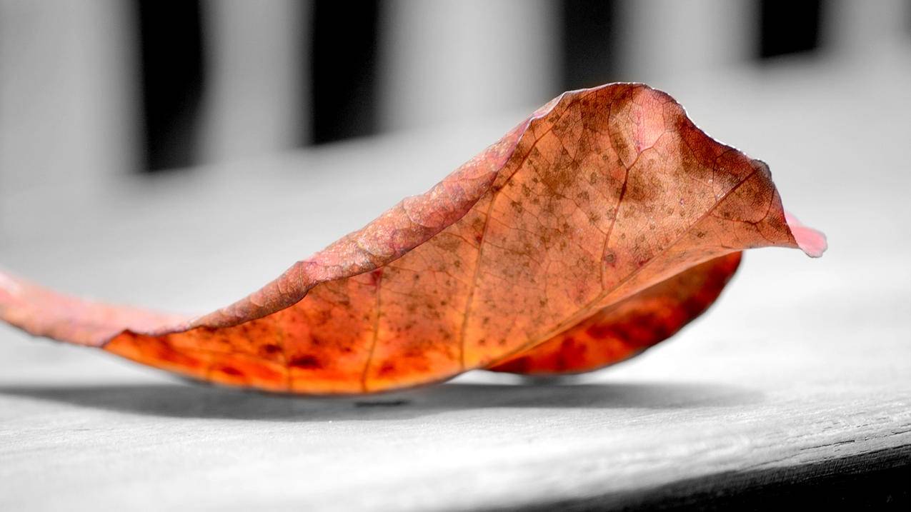 小火箭做法_火箭做法视频幼儿园手工 - 注册外服方法 - 55dz账号网