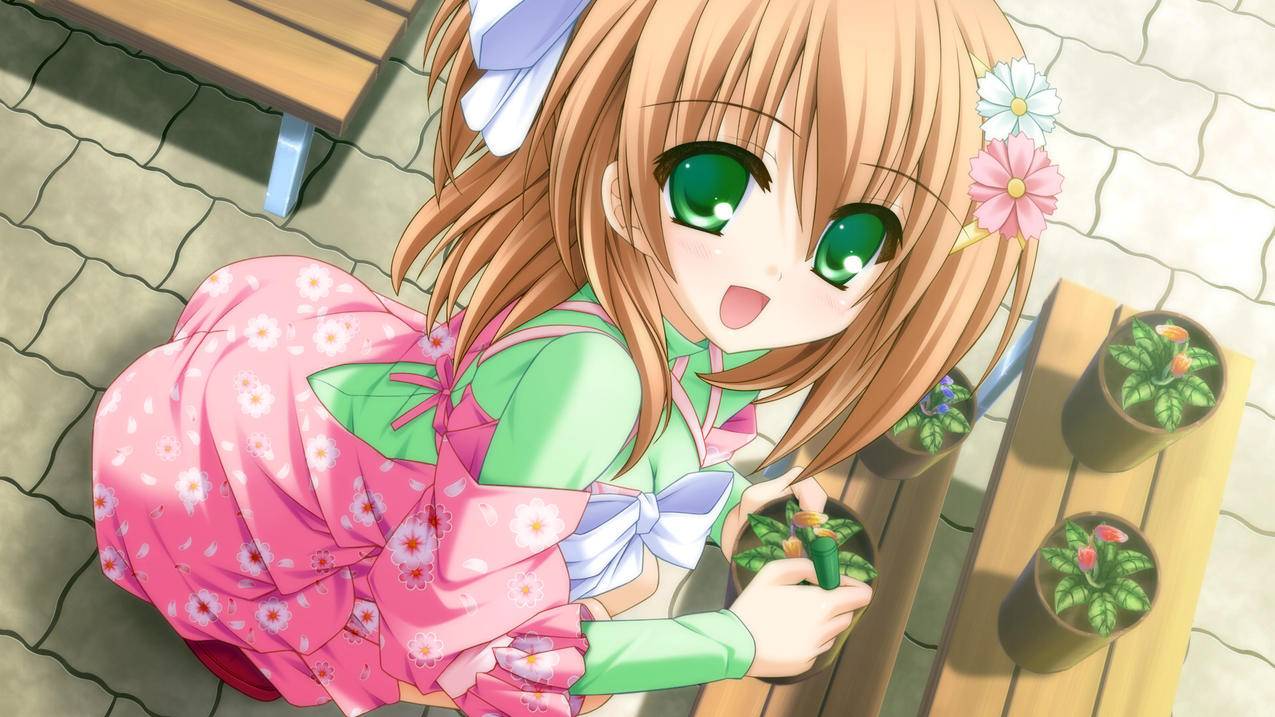 快手刷赞业务站,刷赞快手网站,低价刷赞平台