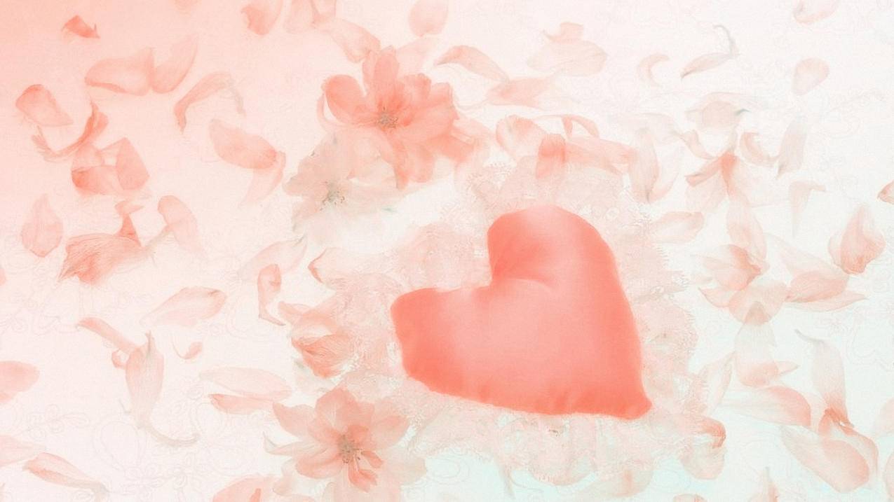 微信视屏号账号怎么找回 - 自助平台 - dy业务网