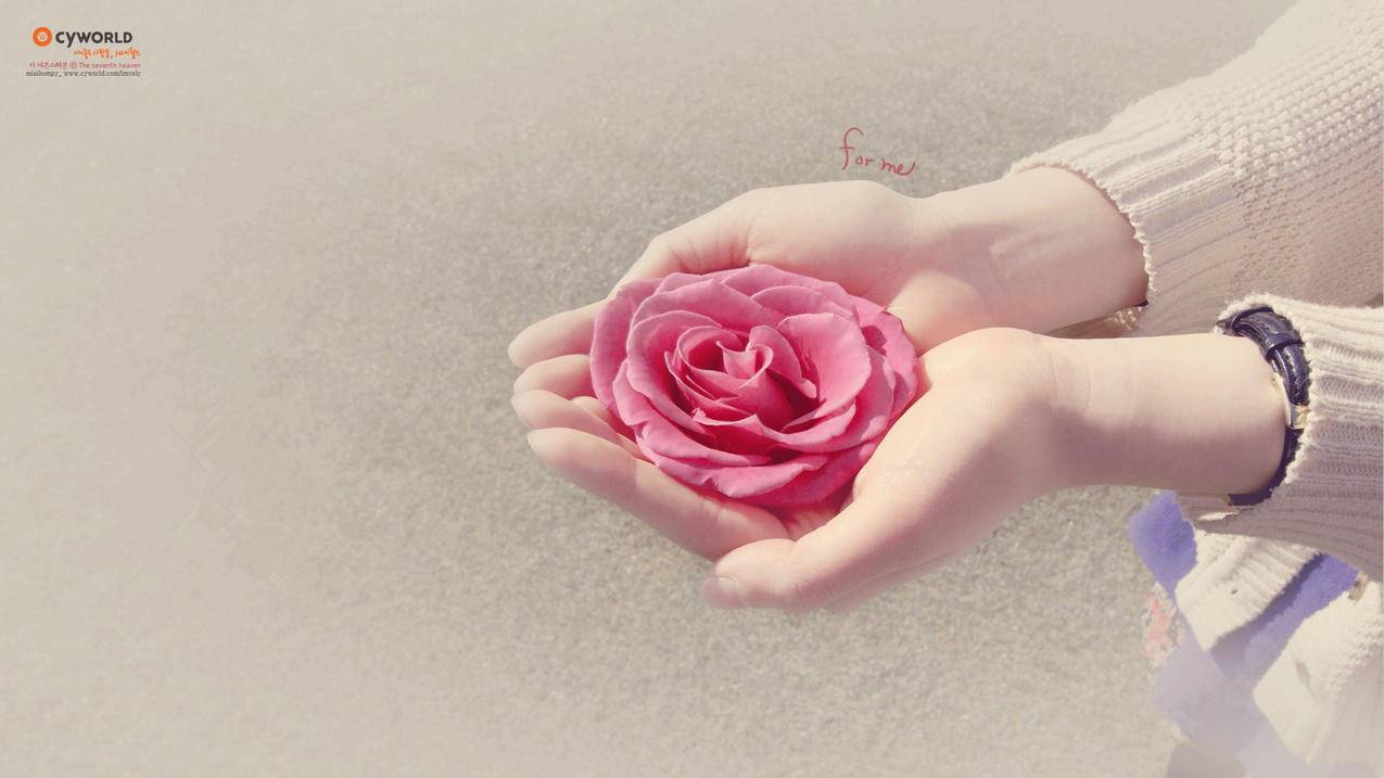 fatego日服下载内置修改器_fatego日服中文补丁 - 日本苹果ID - 55dz账号网