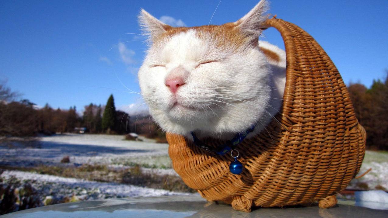 快手红包助力代刷官网 - pubg人气代刷,qq刷赞空间软件免费版2015_抖音刷人气粉丝