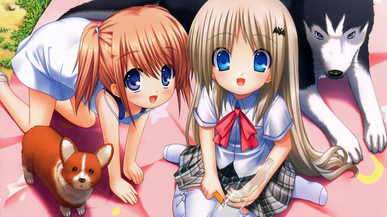 免费领1000赞,B站刷双击秒刷低价,B站点赞免费