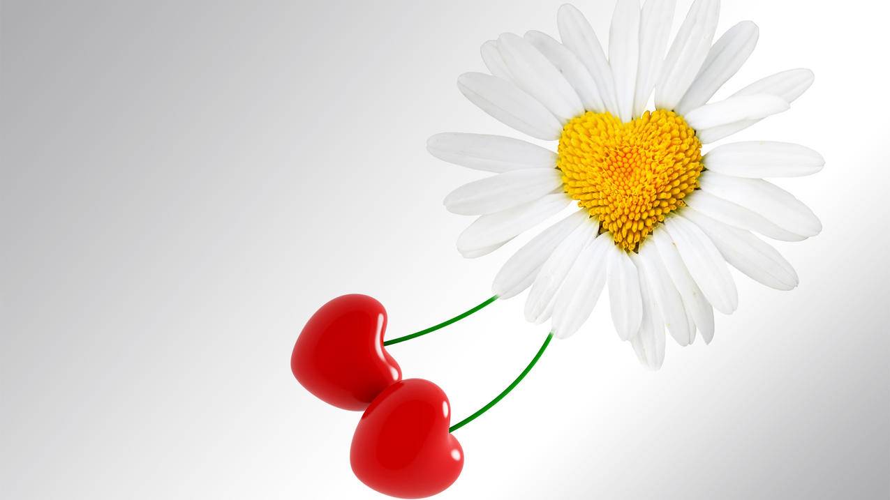 ins账号被冻结收不到邮件_ins邮箱注册,没收到邮件 - INS相关 - 55dz账号网