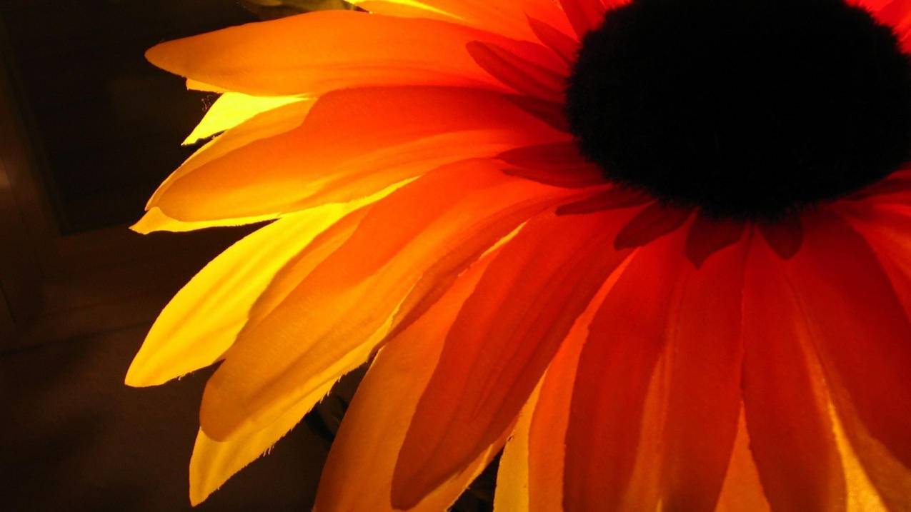 安全教育平台被归档或删除会怎么样_安全教育平台被删除或归档是什么意思 - gmail相关 - 55dz账号网