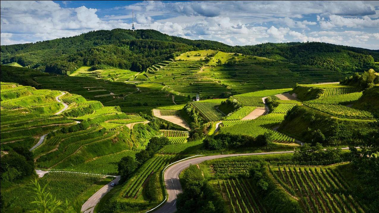 怎样移除菲律宾apple id付款方式（菲律宾苹果id 付款信息） - 各区苹果ID - 55dz账号网