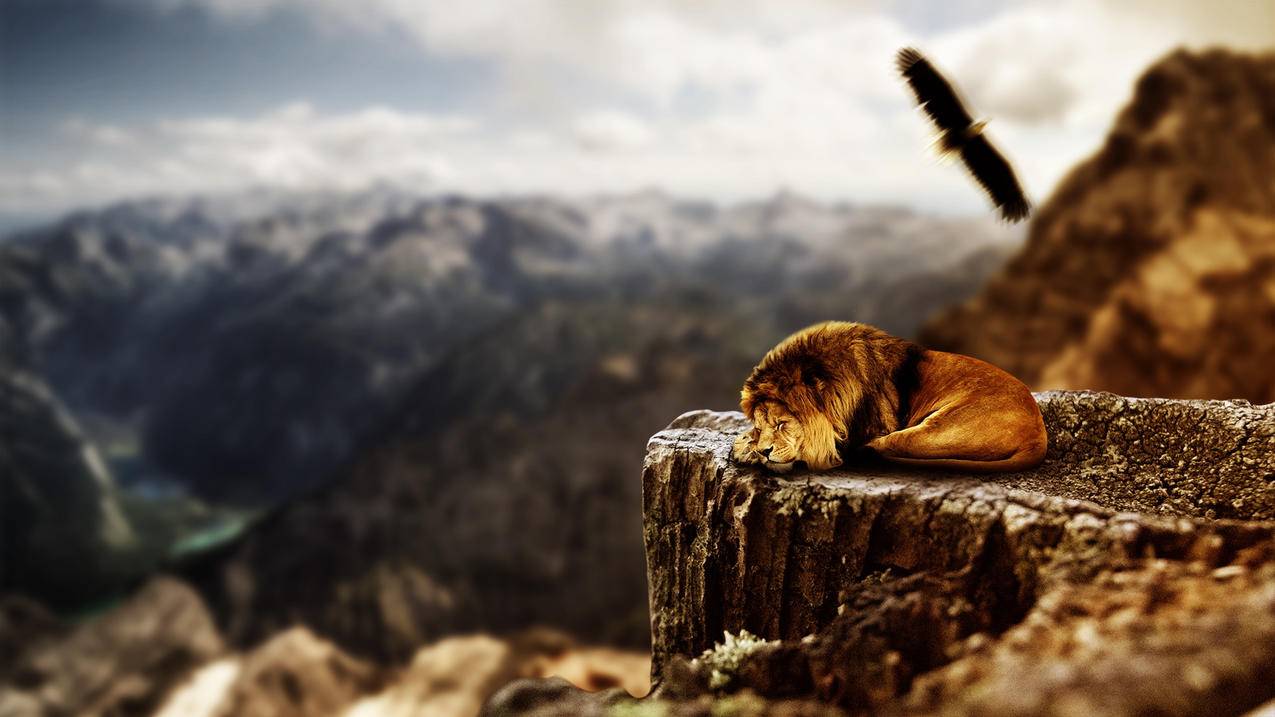 小发明制作方法  ( 手机热点如何共享连小火箭 ) - 55dz账号网