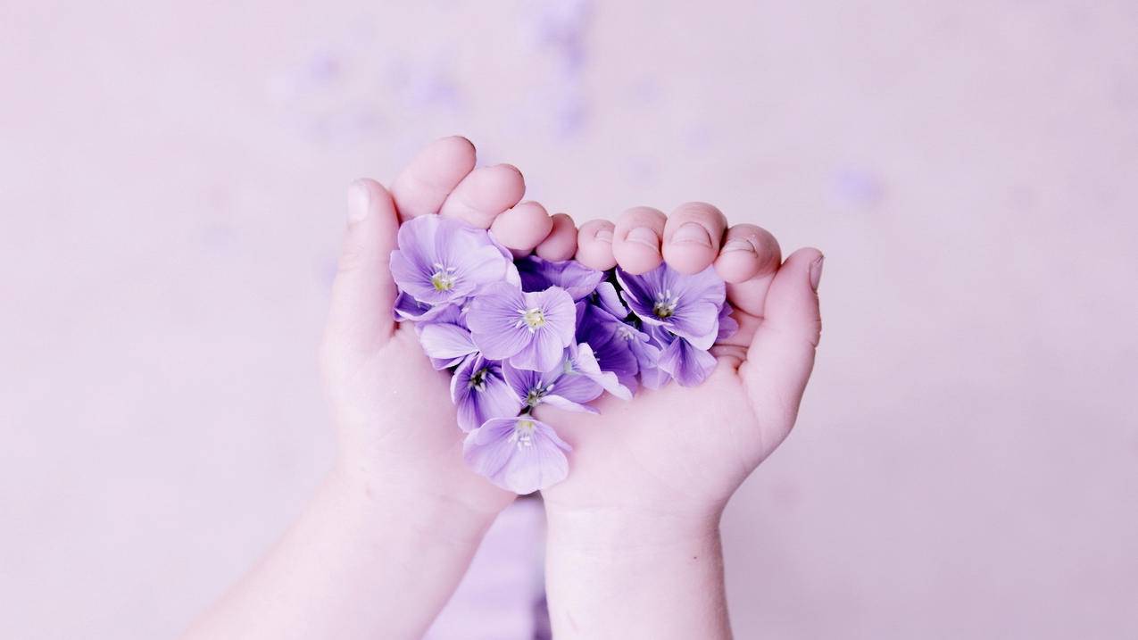 小峰业务自助下单平台 - 抖音赞全网最低价网站,免费快手刷赞神器,qq空间刷点赞空间