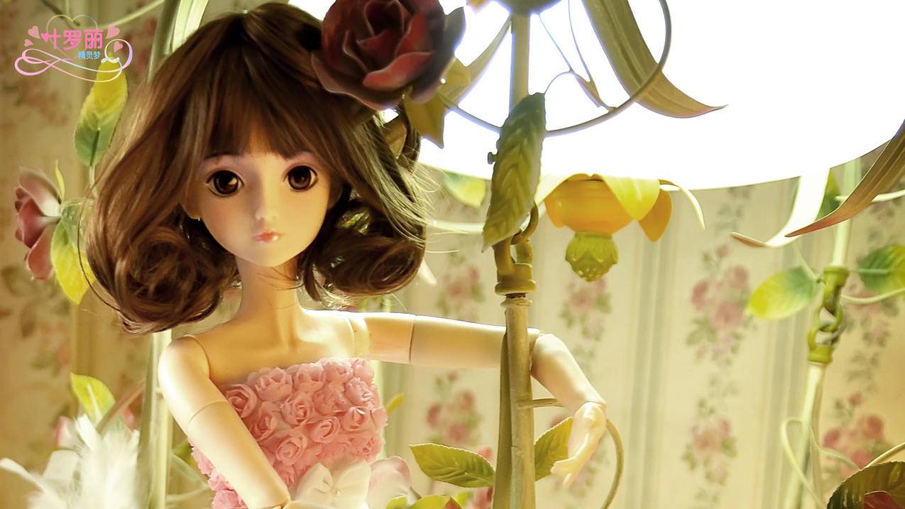 nba2konline2诡异转身怎么按_nba2konline技巧转身 - IOS分享 - 55dz账号网