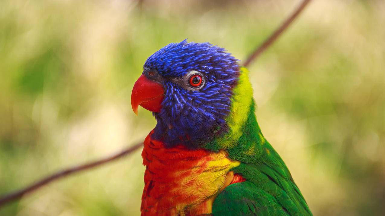 超级低价抖音粉丝免费 - 快手评论刷赞平台,抖音刷粉代刷网,快手24小时自助平台下单_快手免费刷双击,伴梦代刷网快手