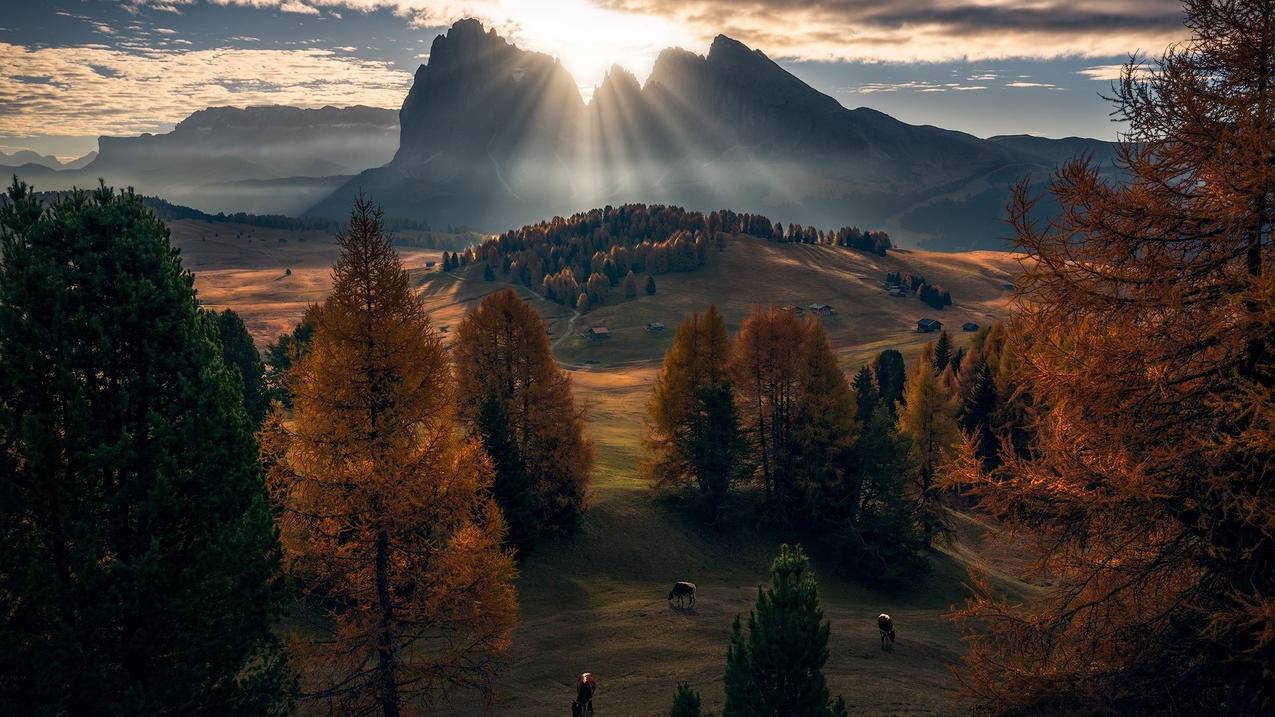 抖音千川如何授权通过？ - ks自助下单 - ks业务下单