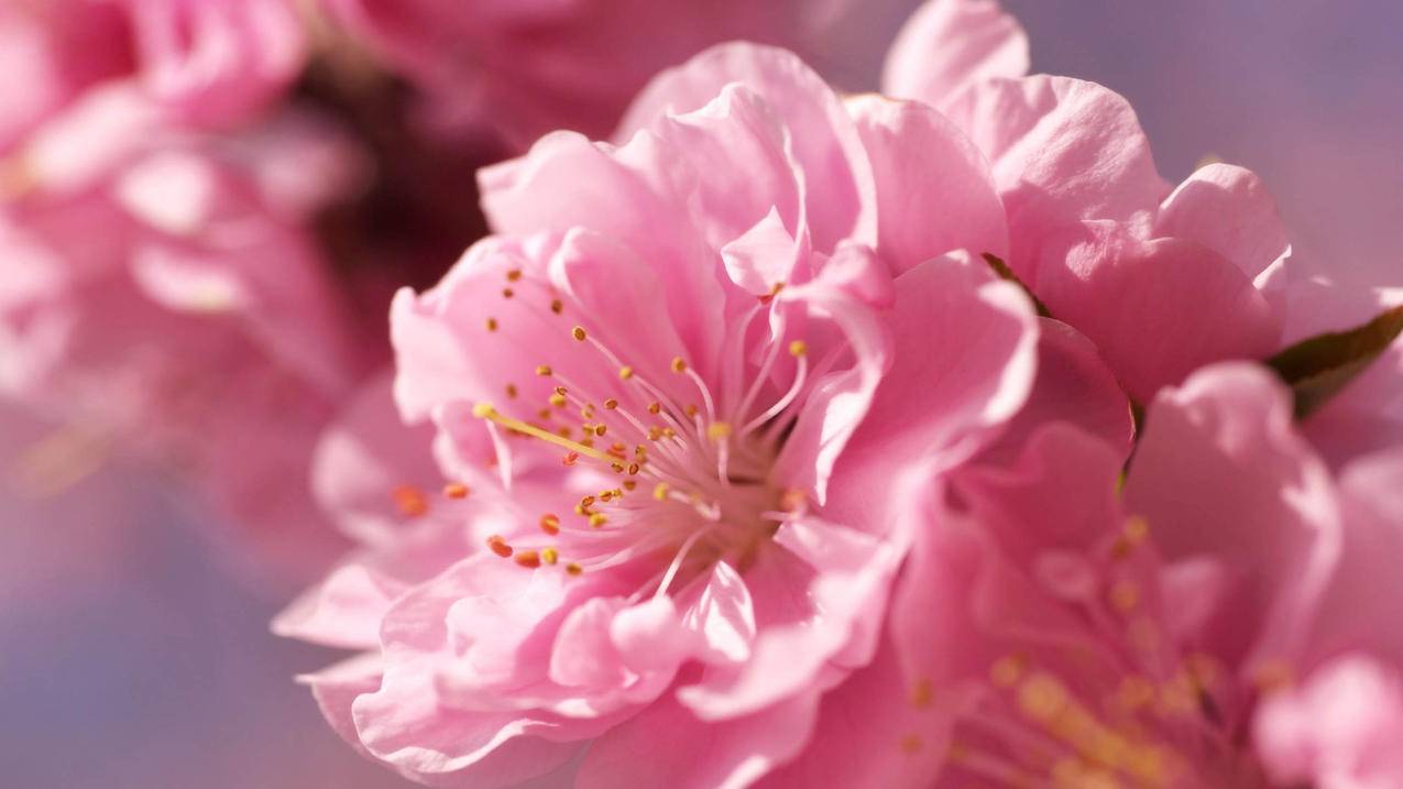 低价刷快手粉丝平台-7758卡盟官网打折-qq说说赞秒刷便宜,抖音短视频代刷平台