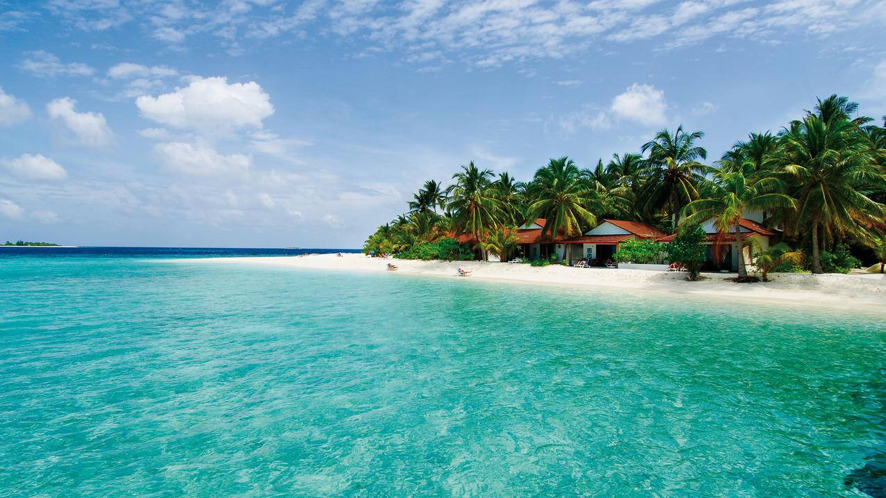 如何更新小红书新版本 - 自助平台 - dy业务网