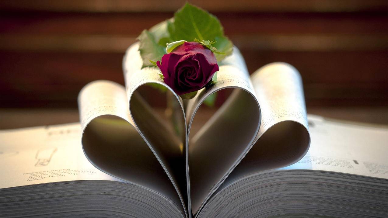 橙光作者刷人气-qq代刷空间50赞,qq标签刷赞网站推广,快手刷粉双击平台