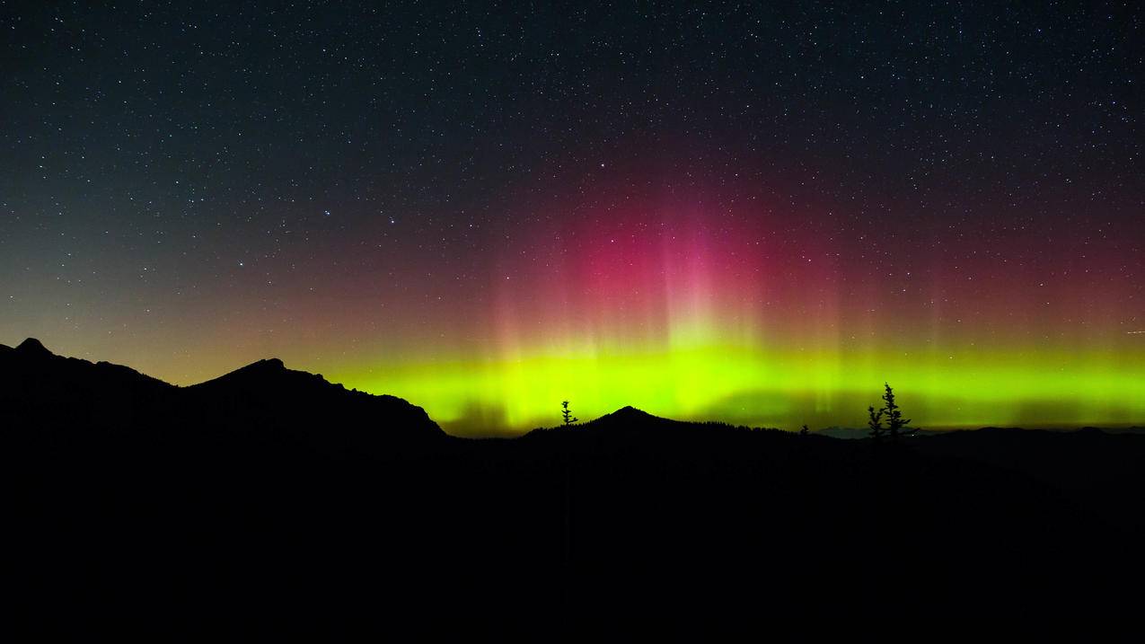 华为设备id可以锁定手机 ， 苹果手机密码忘了怎么办  - 55dz账号网