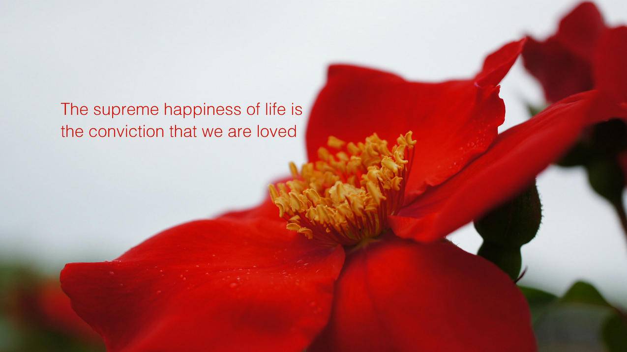 使命召唤COD16辅助 - 快手一元200个粉丝是真的吗,快手一元1000播放,免费刷快手赞网,快手少刷点粉有影响吗