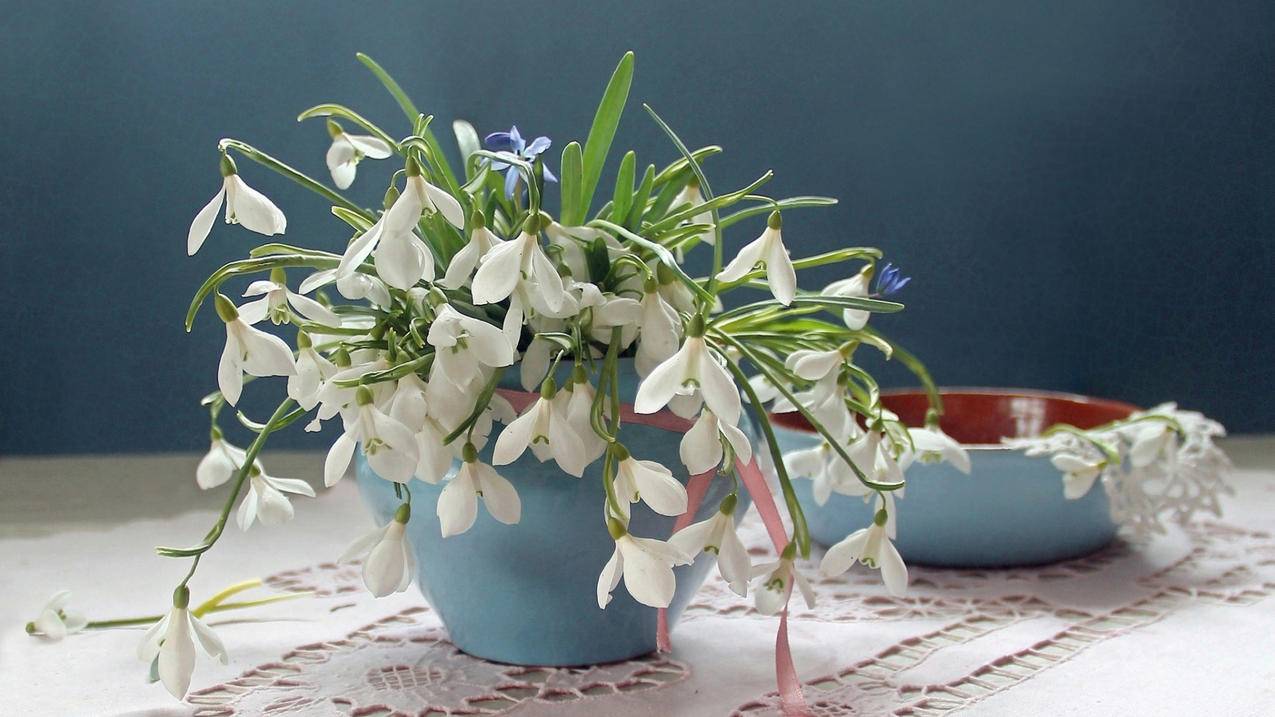 拼多多砍价收货会怎么样-dy业务网