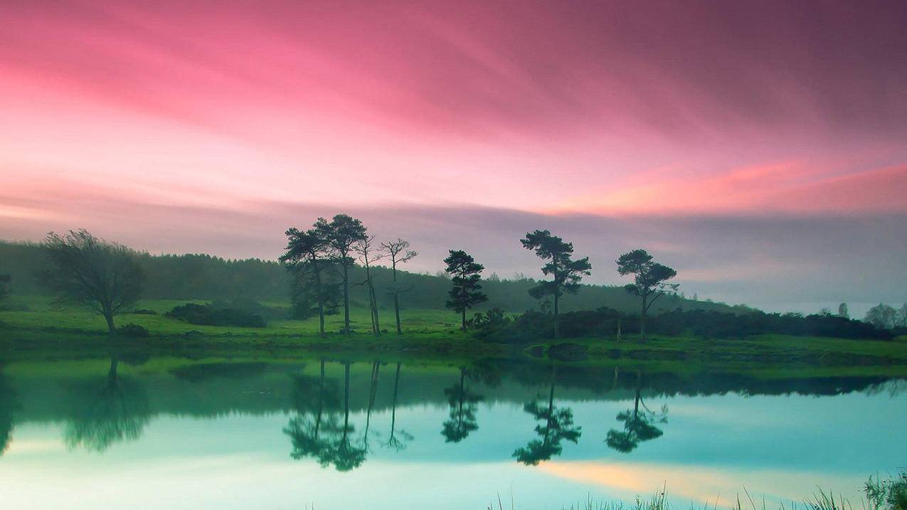 生物英语单词前缀词根大全_生物专业英语词根词缀 - messenger相关 - 55dz账号网