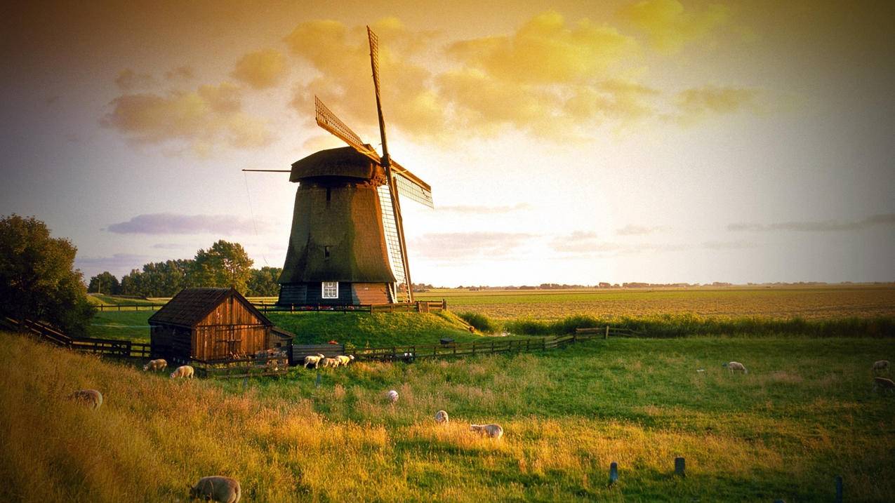 小火箭怎么改混淆  ( 小火箭的免费节点从哪里找 ) - 55dz账号网