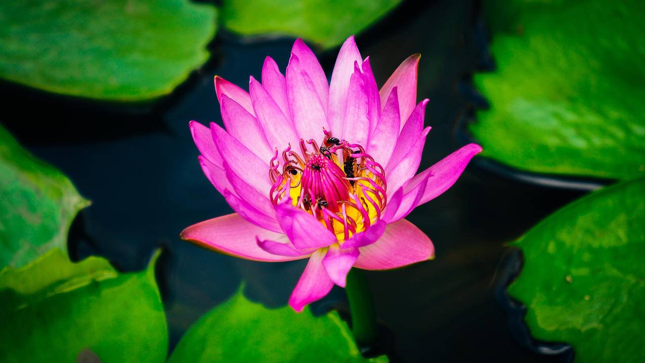 韩国appleid验证码输入错误次数太多_appleid验证次数过多 - 韩国苹果id - 55dz账号网