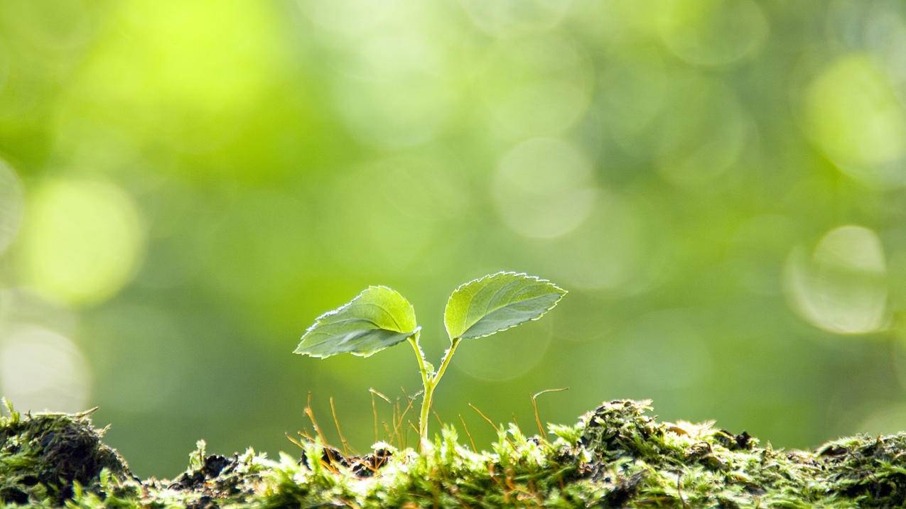 nba2konline2怎么安装不了_nba2konline2安装包是哪个 - IOS分享 - 55dz账号网