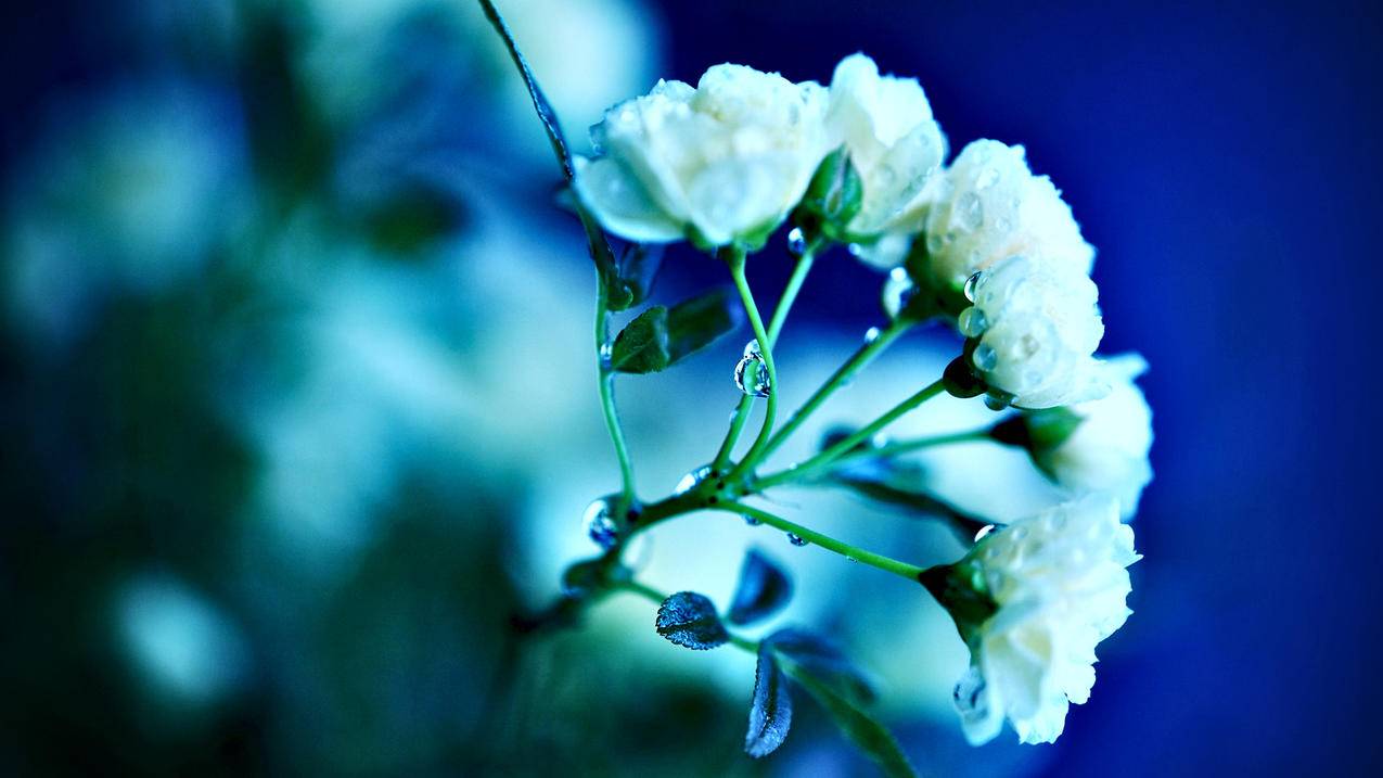 nba2k20怎么退出设置界面_nba2k20设置怎么返回 - IOS分享 - 55dz账号网