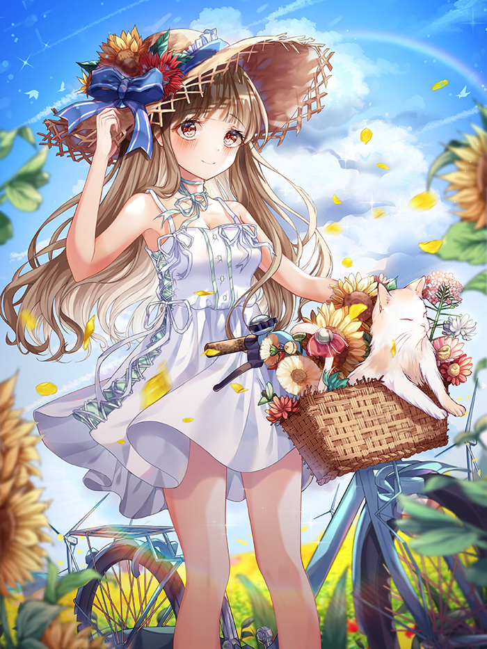 tiktok最新版安装包_TIKTOK安装包 - tiktok相关 - 55dz账号网