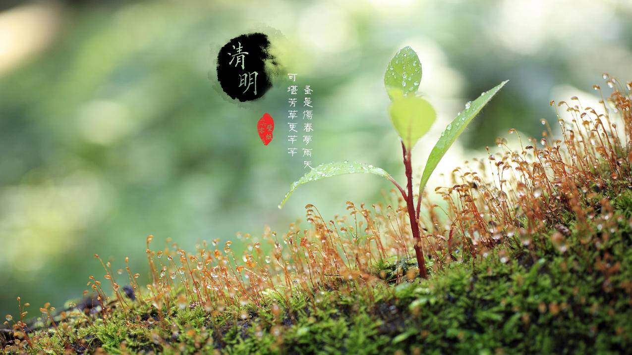 ssr节点分享2020_ssr节点分享2021 - 注册外服方法 - 55dz账号网