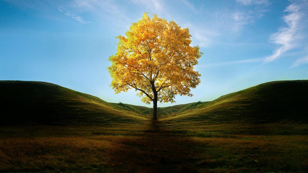 越南苹果id注册教程信息 - 各区苹果ID - 55dz账号网