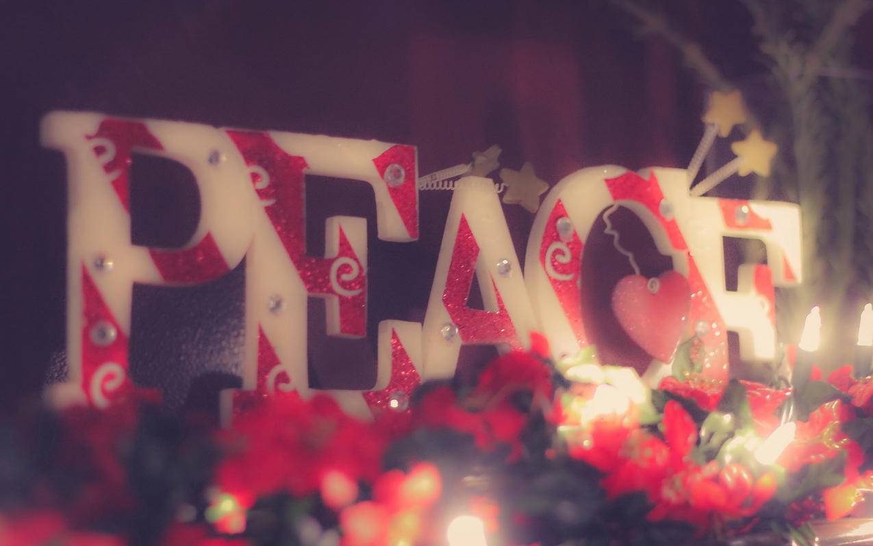 ins壁纸简约_ins壁纸简约文艺 - INS相关 - 55dz账号网