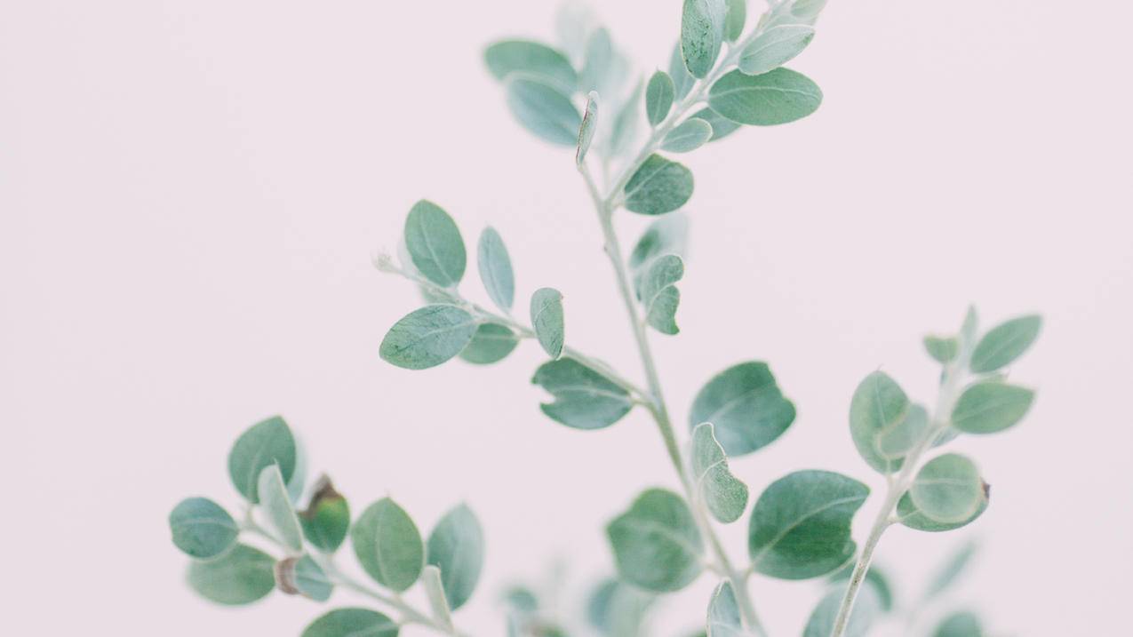 拼多多刷炮台 - 快手刷赞一元1000赞,快手新用户代刷网,三八卡盟自助下单平台网站