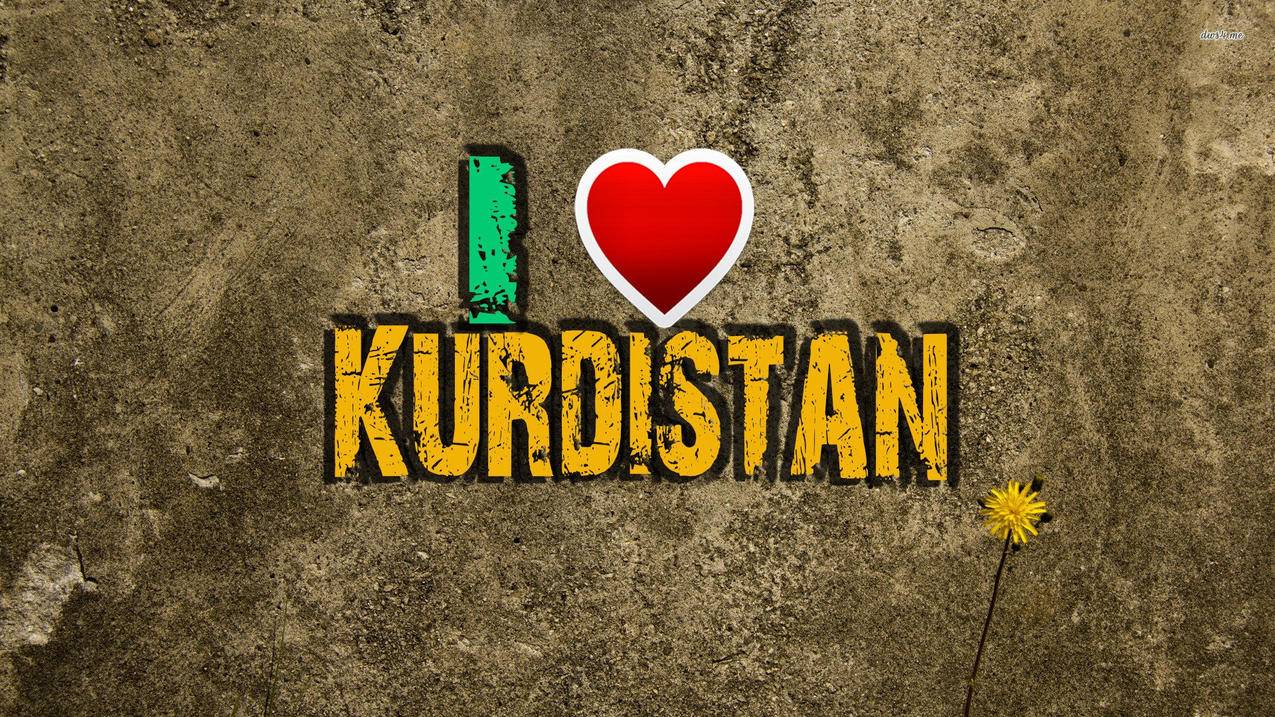 好看的ins风头像男动漫_动漫男生头像ins风高清 - INS相关 - 55dz账号网