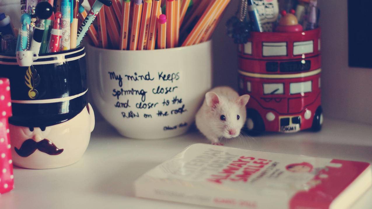 facebook发行的货币叫什么_facebook发行的数字货币叫什么币 - facebook相关 - 55dz账号网