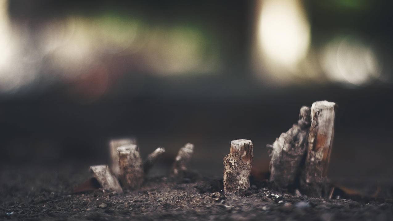 ios美服联机游戏_好玩的ios美服游戏 - 美国苹果ID - 55dz账号网