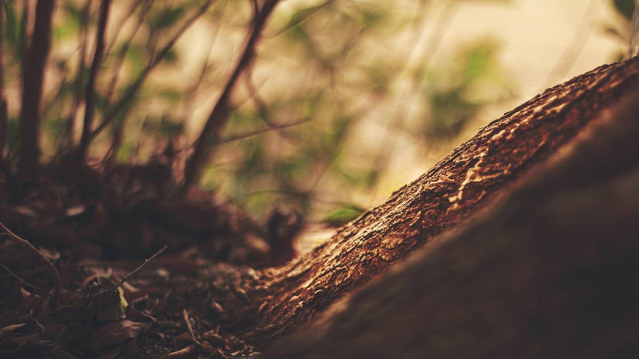 香港appleid被禁止免费下载app是什么情况_用香港id下载苹果手机app - 香港苹果ID - 55dz账号网