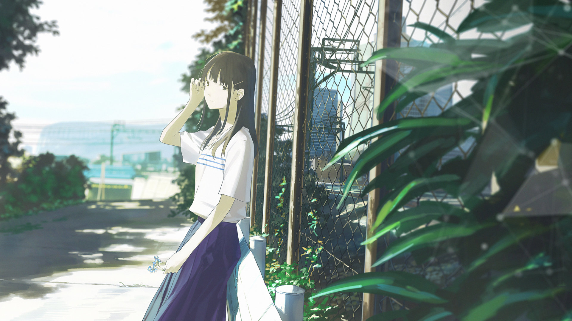 zoom关闭摄像头_zoom关闭摄像头怎么可以添加照片 - zoom相关 - 55dz账号网