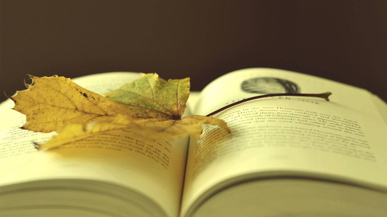 加微信怎么让对方通过_怎么样让对方加你微信 - messenger相关 - 55dz账号网