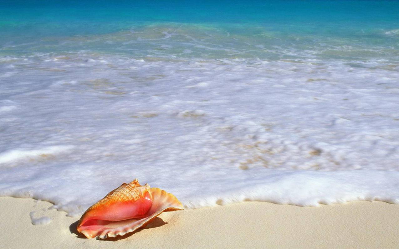 《英雄联盟》开发商新作《Valorant》下载、安装、启动问题汇总 - Apple ID相关 - 55dz账号网