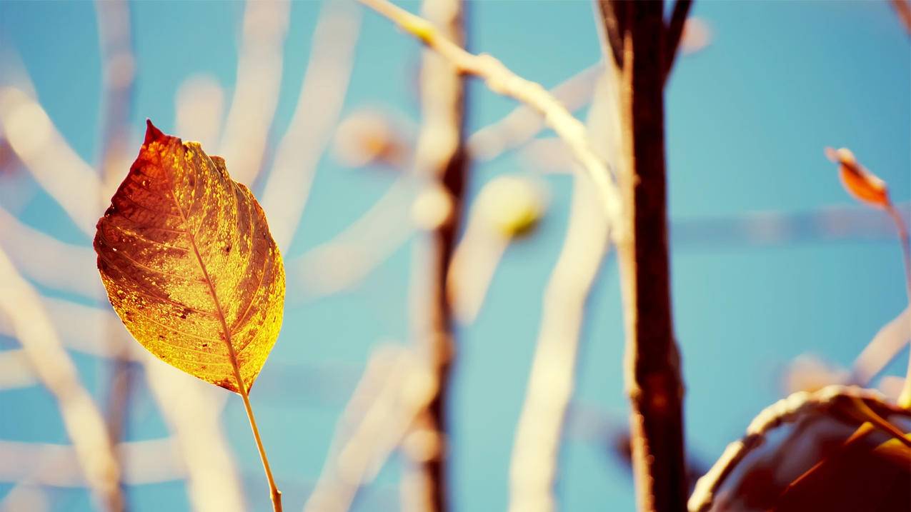 163邮箱怎么注册支付宝_163邮箱怎么注册支付宝白号 - gmail相关 - 55dz账号网