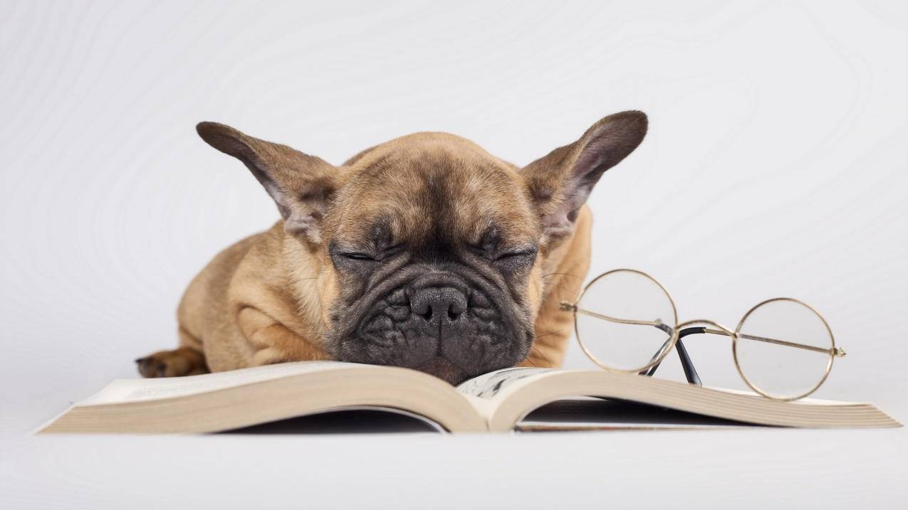 怎么不通过appleid购买_appleid需要购买吗 - 各区苹果ID - 55dz账号网