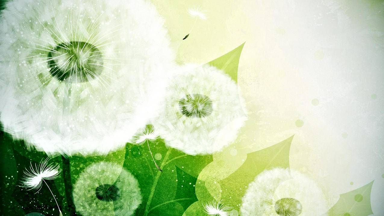 台湾苹果id免费账号20228月_注册苹果台湾id账号 - 台湾苹果ID - APPid共享网