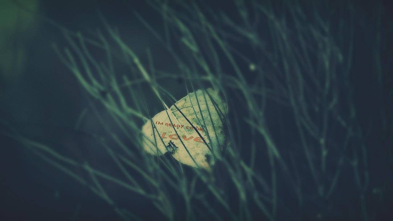 TikTok豪掷奖金应对禁令，美区拉一个新用户最高给400美元-苹果id平台