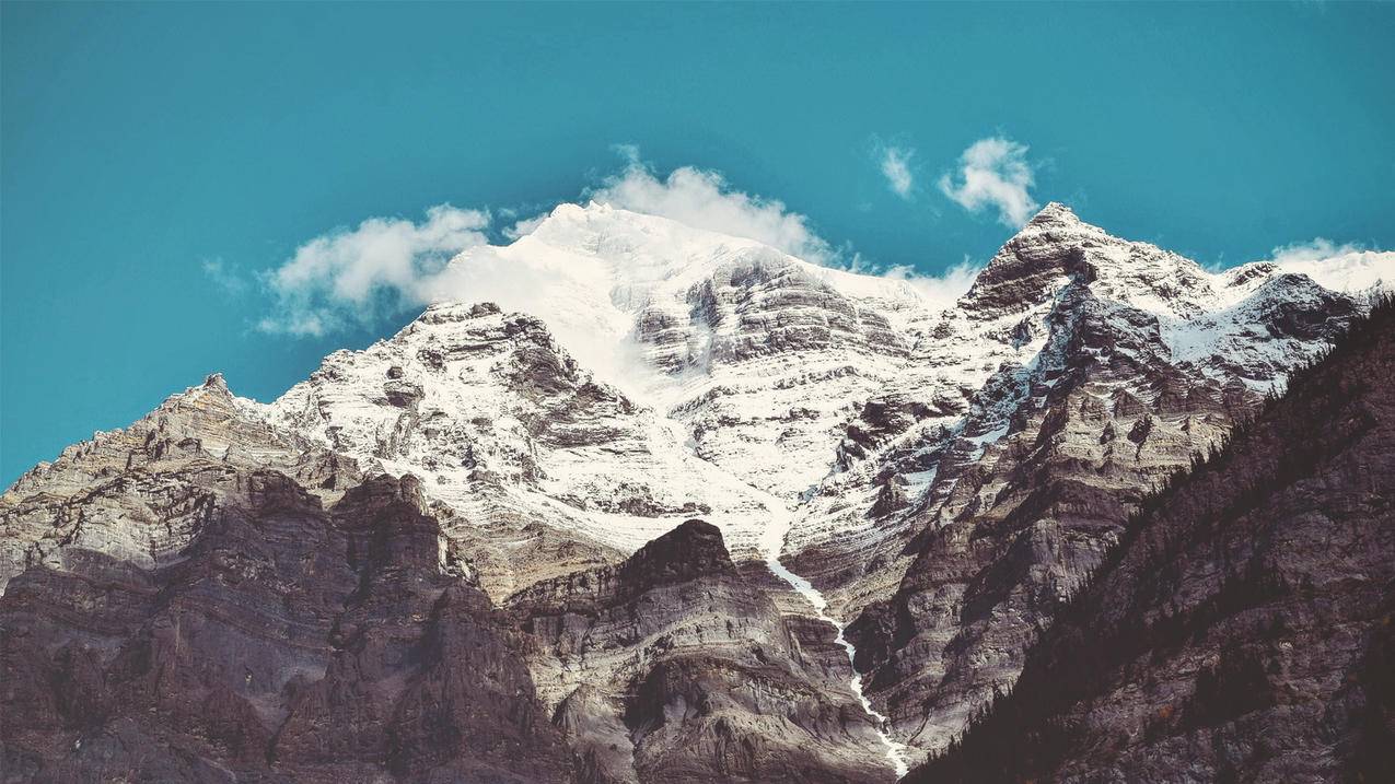 抖音粉丝低价下单平台,0元qq免费刷赞网站,免费十个刷空间赞说说-快手粉丝如何快速涨到1万