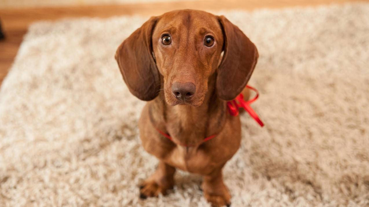 clash安卓怎么充值_clash安卓怎么使用 - clash相关 - 55dz账号网